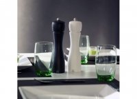   Tahiti Peugeot    , 15 , +