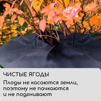  , D=1 ,  60 / ,   -,  2 ., , Greengo,  20%