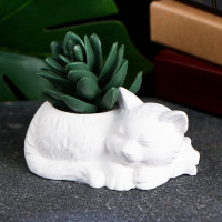 �������� ����� ��� ������ ������, 10 7 6 ��, ����, �����