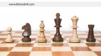   Tournament 5 ( 5)   4848 
