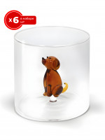   6 .  250  Wd Lifestyle ,    , 