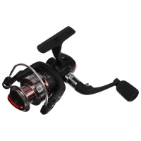  / ""  1000, 8+1 , 5.2:1