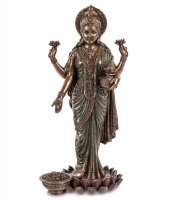 Ws-464   -  ,   