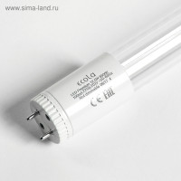   Ecola, T8, G13, 12.5 , 6500 K, 605x28 , . , 