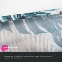     Iddis Bf06p18i11, 200180 , ,  