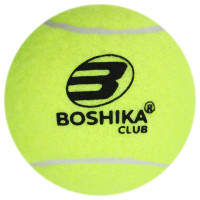      Boshika, , 4 .