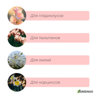   , , 25 20 , , Greengo