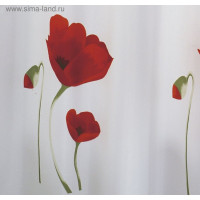     Mohn,  