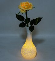 Lp-09     Led-