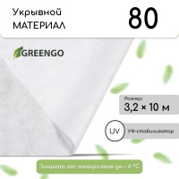  , 10 3.2 ,  80 / ,   -, , Greengo,  30%
