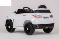  Barty Bmw X5 Vip ,  Eva (),  