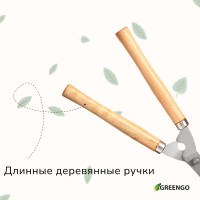 , 19 (48 ),   , Greengo