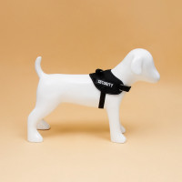  9  ,  S,  45-55 ,  5-12.5 , 