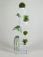    Greengo, 8 , 43 22 141 , , , 