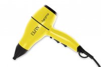    Elfin 1900