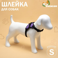  7  ,  S,  44-55 ,  5-9 , 