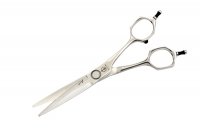    Stellite Alloy 155 (5.5)