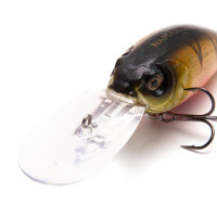  Namazu Willsy, L-75 , 22 , , , 4.0-6.0 ,  17