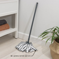    Raccoon , 6 :  ,     , , ,  