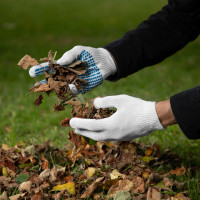 �������� �/� � ���, ��������� 35 �, 10 ��, 10 ��� � ��������