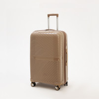   100  (l),   ,  , 4 ,  