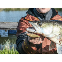  . Lj Pro Series Basara Sp, 5.6 ,  302