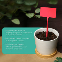 �������� �������, ��� ���������� ��������, 34 ��, ����� 10 ��., �������, ����, Greengo