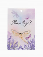 ����� ��������� ���������, ������� � ������