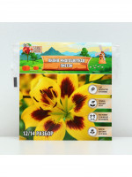 ����� ������������ ��������, �������� � ������ � �����������, �-� 12/14, 3 ��.