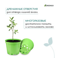   , 5 , D = 22 , H = 18 , , , Greengo
