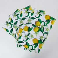 ������������� �������� Joy Home, ���������� ������, 26�41 ��