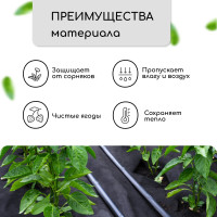  , 5 0.8 ,  80 / ,  -, , Greengo,  30%