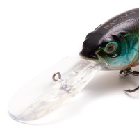  Namazu Willsy, L-75 , 22 , , , 4.0-6.0 ,  6