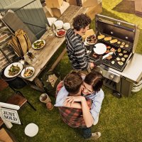   Weber Genesis Ii E-310 Gbs, 
