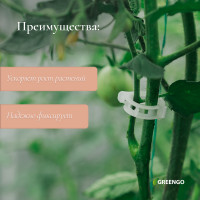  , D = 23 ,  50 ., Greengo