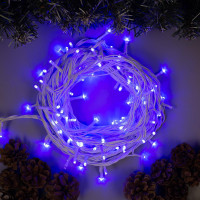   10 , Ip44, ,  , 100 Led,  , 220 