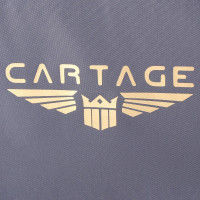  Cartage -11, , 18 , 352124 