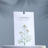  "Camomille"