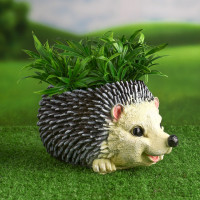 �������� ����� ��� ������ �����, 25 ��, ���������