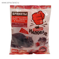 �����-������� �� ���� � ����� "�������" �� ������ ��������� ����, 200�