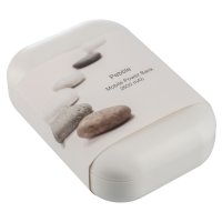   Pebble 2600 , 