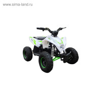    Motax Gekkon 1300w, -