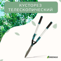, 31 44,5 (79 113 ), ,    , Greengo