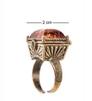 Am-2519 ������ �������� (������, ������)