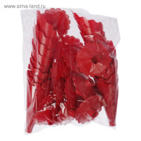 ���������� �������, ���� ����