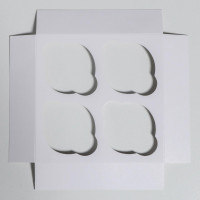 ������� ��� ��������� �� ����� ����� 16 � 16 � 10 ��