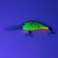  Namazu Guttatus, L-65 , 15 , , , 3.5-5.0 ,  2