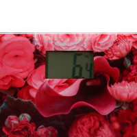   Homestar Hs-6001l, ,  180 , 1cr2032, 