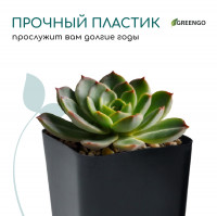 ������ ��� �������, 800 ��, 9 9 12.5 ��, �������, ����, Greengo