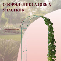 ���� �������, 230 125 50 ��, ��� �������� ��������, �������������, ������, ������, Greengo